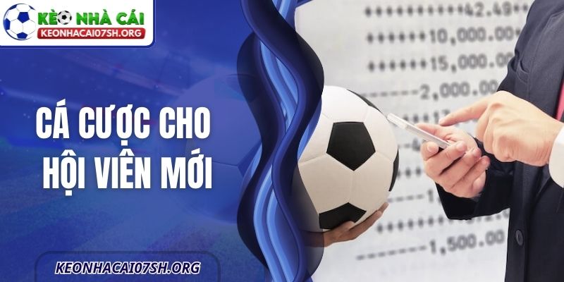 Cá Cược Cho Hội Viên Mới - Tránh Các Sai Lầm Phổ Biến 1 Cá Cược Cho Hội Viên Mới - Tránh Các Sai Lầm Phổ Biến
