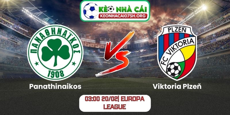 Nhận định bóng đá Panathinaikos vs Viktoria Plzeň (03:00 20/02| Europa League): Cân não tại Athens, bản lĩnh quyết định cục diện 6 Nhận định bóng đá Panathinaikos vs Viktoria Plzeň (03:00 20/02| Europa League)