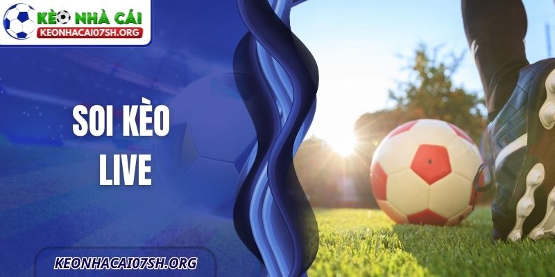 Soi Kèo Live -Hướng Dẫn Đầy Đủ Cho Người Mới Tham Gia 1 Soi Kèo Live -Hướng Dẫn Đầy Đủ Cho Người Mới Tham Gia